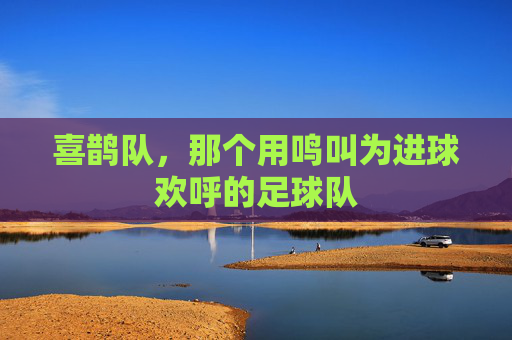 喜鹊队，那个用鸣叫为进球欢呼的足球队