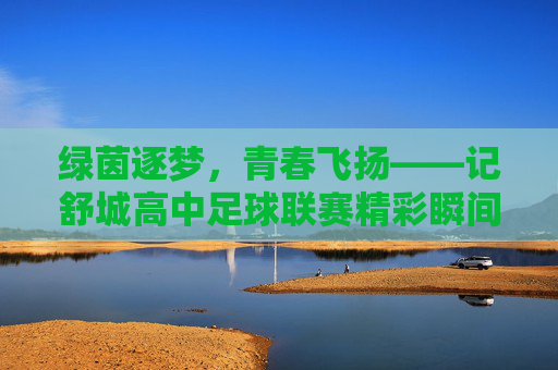绿茵逐梦，青春飞扬——记舒城高中足球联赛精彩瞬间，绿茵逐梦，青春飞扬——记舒城高中足球联赛精彩瞬间