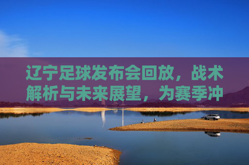 辽宁足球发布会回放,战术解析与未来展望,为赛季冲刺蓄力