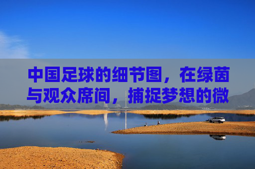 中国足球的细节图,在绿茵与观众席间,捕捉梦想的微光与坚守