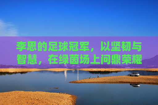 李思的足球冠军，以坚韧与智慧，在绿茵场上问鼎荣耀，李思足球冠军，以坚韧与智慧问鼎绿茵场上的荣耀