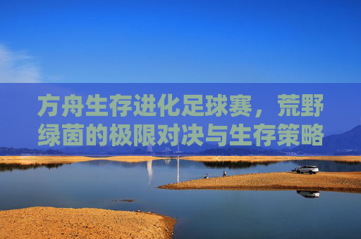 方舟生存进化足球赛，荒野绿茵的极限对决与生存策略