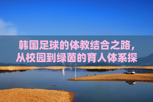 韩国足球的体教结合之路,从校园到绿茵的育人体系探索,韩国足球的体教结合之路,从校园到绿茵的育人体系探索