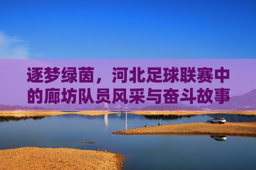 逐梦绿茵，河北足球联赛中的廊坊队员风采与奋斗故事