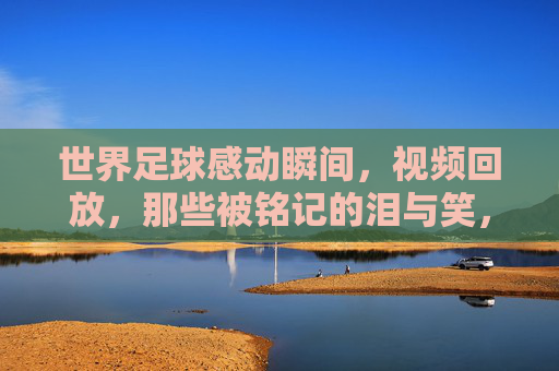 世界足球感动瞬间,视频回放,那些被铭记的泪与笑,世界足球感动瞬间,视频回放,那些被铭记的泪与笑