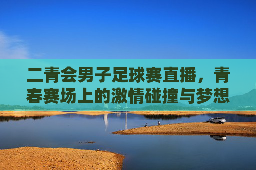 二青会男子足球赛直播,青春赛场上的激情碰撞与梦想绽放