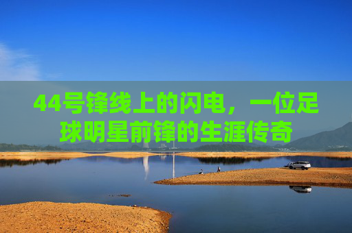 44号锋线上的闪电，一位足球明星前锋的生涯传奇