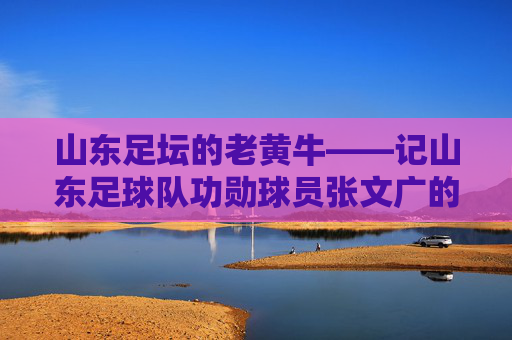 山东足坛的老黄牛——记山东足球队功勋球员张文广的职业生涯与精神传承，山东足坛的老黄牛——记山东足球队功勋球员张文广的职业生涯与精神传承