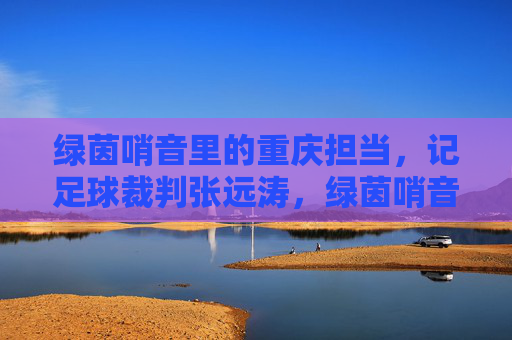 绿茵哨音里的重庆担当，记足球裁判张远涛，绿茵哨音里的重庆担当，记足球裁判张远涛