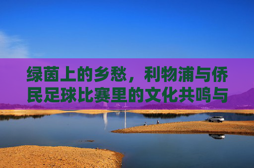 绿茵上的乡愁，利物浦与侨民足球比赛里的文化共鸣与情感联结，绿茵上的乡愁，利物浦与侨民足球比赛里的文化共鸣与情感联结
