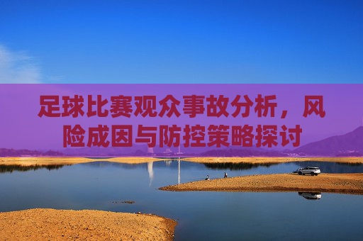 足球比赛观众事故分析,风险成因与防控策略探讨