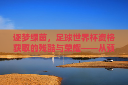逐梦绿茵，足球世界杯资格获取的残酷与荣耀——从预选赛到决赛圈的荆棘之路，逐梦绿茵，足球世界杯资格获取的残酷与荣耀——从预选赛到决赛圈的荆棘之路