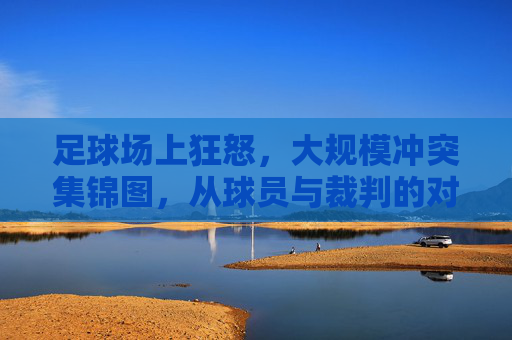 足球场上狂怒,大规模冲突集锦图,从球员与裁判的对峙到观众与球员的冲突,赛场暴力如何侵蚀体育精神,足球场上冲突狂怒集锦,从球员与裁判对峙到观众冲突,赛场暴力侵蚀体育精神