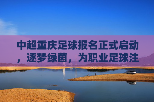 中超重庆足球报名正式启动,逐梦绿茵,为职业足球注入新活力,中超重庆足球报名正式启动,逐梦绿茵,为职业足球注入新活力
