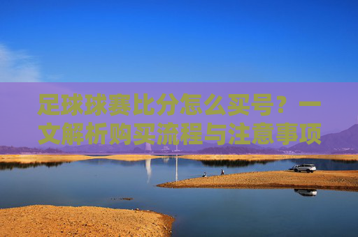 足球球赛比分怎么买号？一文解析购买流程与注意事项，足球球赛比分买号指南，购买流程与注意事项一文解析