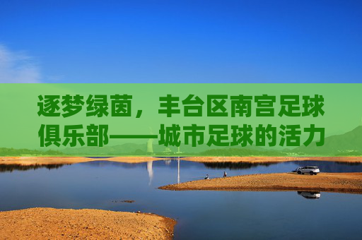 逐梦绿茵,丰台区南宫足球俱乐部——城市足球的活力引擎与青春绽放