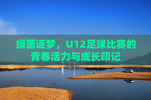 绿茵逐梦,U12足球比赛的青春活力与成长印记