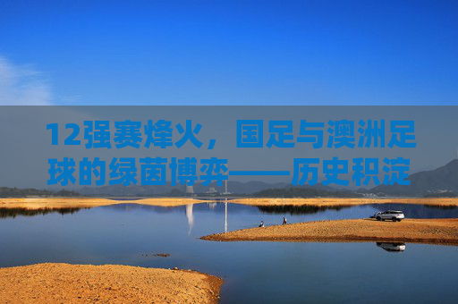 12强赛烽火,国足与澳洲足球的绿茵博弈——历史积淀与现代竞技的碰撞