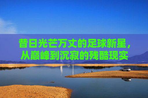 昔日光芒万丈的足球新星,从巅峰到沉寂的残酷现实