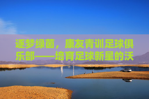 逐梦绿茵，康友青训足球俱乐部——培育足球新星的沃土与希望