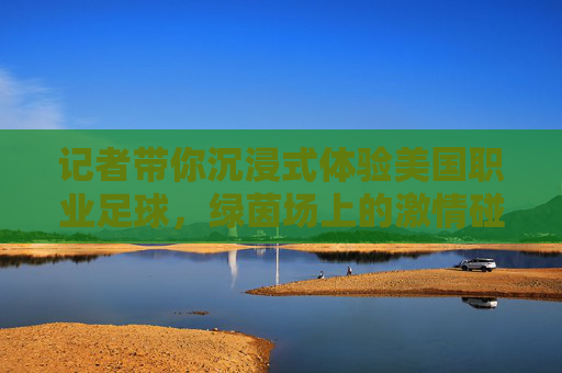 记者带你沉浸式体验美国职业足球，绿茵场上的激情碰撞与球迷热忱的震撼之旅