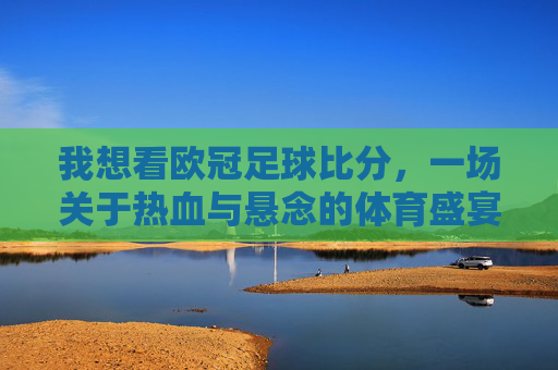 我想看欧冠足球比分，一场关于热血与悬念的体育盛宴