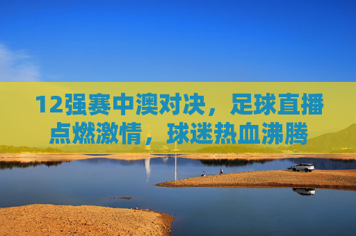 12强赛中澳对决，足球直播点燃激情，球迷热血沸腾