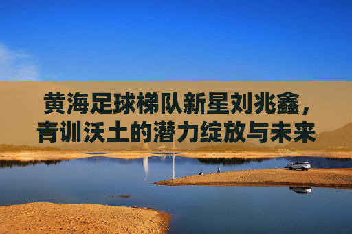 黄海足球梯队新星刘兆鑫，青训沃土的潜力绽放与未来展望，黄海青训新星刘兆鑫，潜力绽放与未来展望