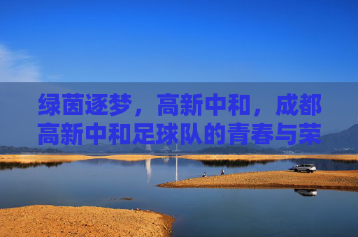 绿茵逐梦，高新中和，成都高新中和足球队的青春与荣耀