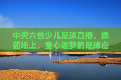 中央六台少儿足球直播,绿茵场上,童心逐梦的足球嘉年华