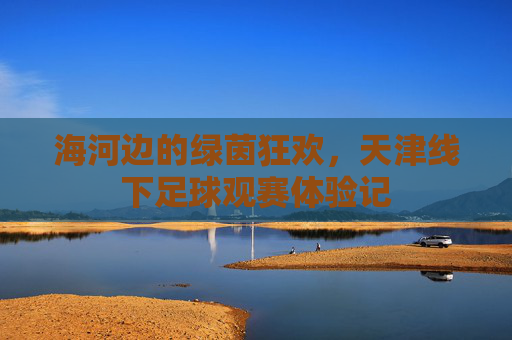 海河边的绿茵狂欢，天津线下足球观赛体验记