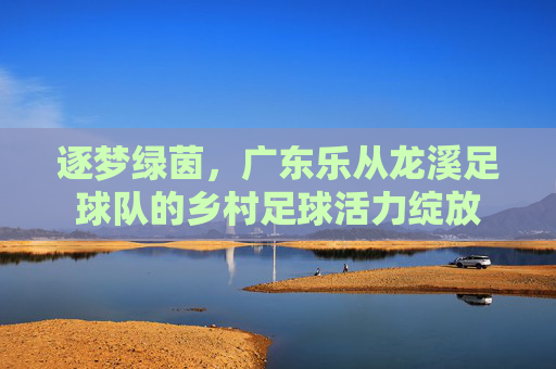 逐梦绿茵，广东乐从龙溪足球队的乡村足球活力绽放