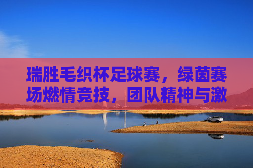 瑞胜毛织杯足球赛,绿茵赛场燃情竞技,团队精神与激情碰撞