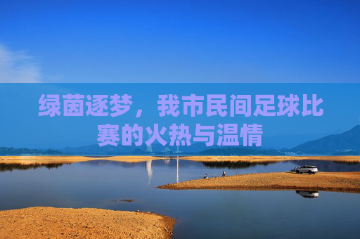 绿茵逐梦,我市民间足球比赛的火热与温情