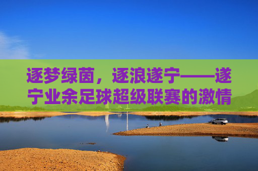 逐梦绿茵,逐浪遂宁——遂宁业余足球超级联赛的激情与活力