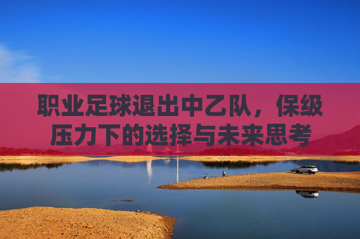 职业足球退出中乙队,保级压力下的选择与未来思考