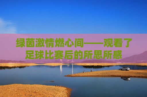 绿茵激情燃心间——观看了足球比赛后的所思所感