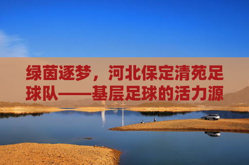 绿茵逐梦,河北保定清苑足球队——基层足球的活力源泉与希望之光