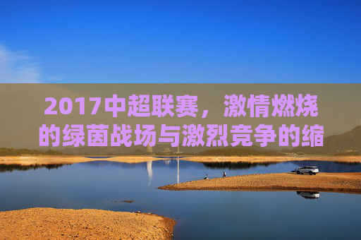 2017中超联赛,激情燃烧的绿茵战场与激烈竞争的缩影,2017中超,激情燃烧的绿茵战场与激烈竞争的缩影
