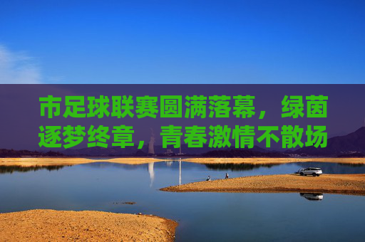 市足球联赛圆满落幕，绿茵逐梦终章，青春激情不散场，市足球联赛落幕，绿茵逐梦终章，青春激情不散场