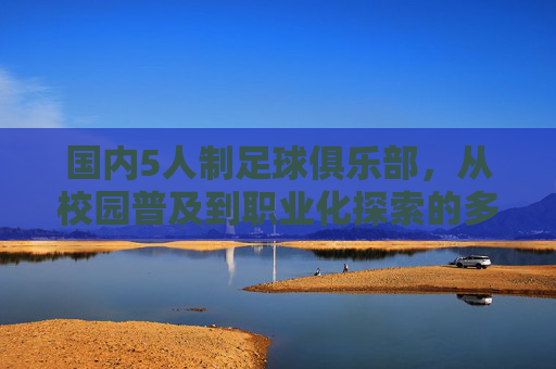国内5人制足球俱乐部，从校园普及到职业化探索的多元路径