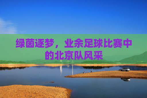 绿茵逐梦，业余足球比赛中的北京队风采