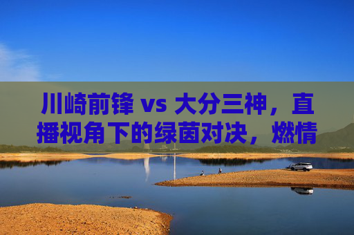川崎前锋 vs 大分三神,直播视角下的绿茵对决,燃情足球的视觉盛宴