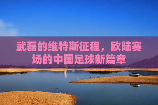 武磊的维特斯征程,欧陆赛场的中国足球新篇章