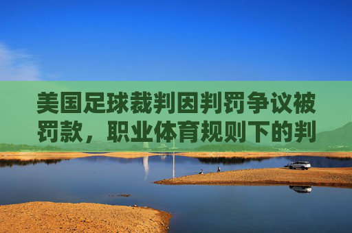 美国足球裁判因判罚争议被罚款，职业体育规则下的判罚风暴