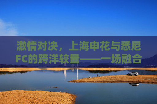 激情对决,上海申花与悉尼FC的跨洋较量——一场融合文化交融与竞技激情的足球盛宴