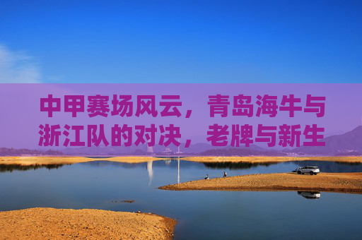 中甲赛场风云，青岛海牛与浙江队的对决，老牌与新生力量的博弈