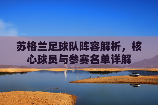 苏格兰足球队阵容解析，核心球员与参赛名单详解