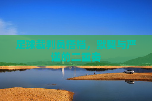 足球裁判员搭档,默契与严谨的二重奏