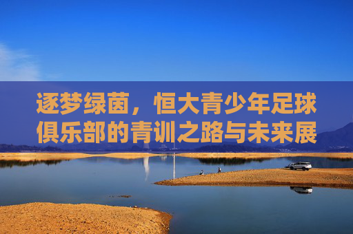 逐梦绿茵,恒大青少年足球俱乐部的青训之路与未来展望